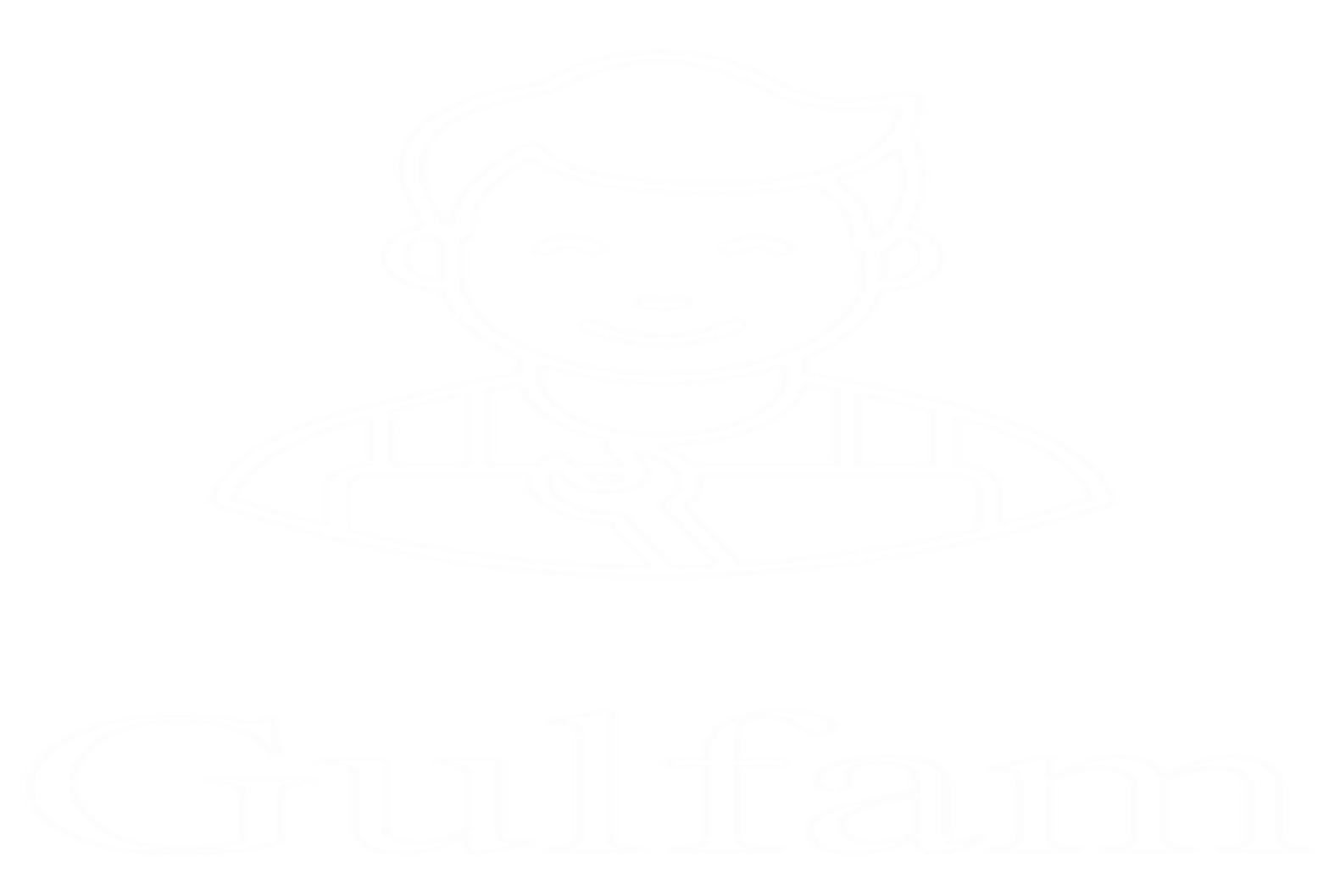 Gulfam s portfolio